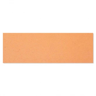 Skånsk Natural Terracotta Fodpanel Klinker Orange Matt 24x8 cm